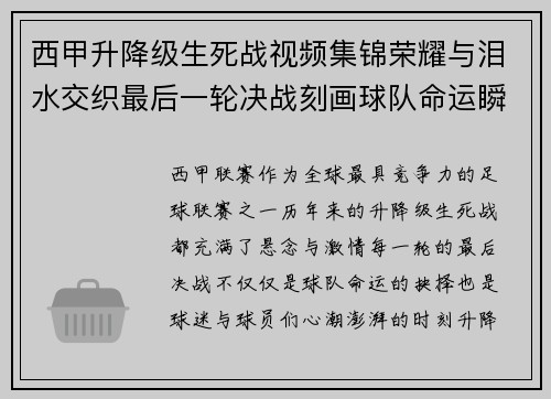 西甲升降级生死战视频集锦荣耀与泪水交织最后一轮决战刻画球队命运瞬间