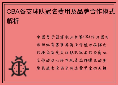 CBA各支球队冠名费用及品牌合作模式解析